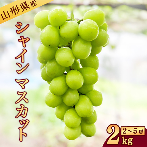令和8年産 新鮮 シャインマスカット 2kg 山形県産 【2026年9月中旬から10月頃発送予定】 ※配送不可 沖縄・離島　026-B-JA009