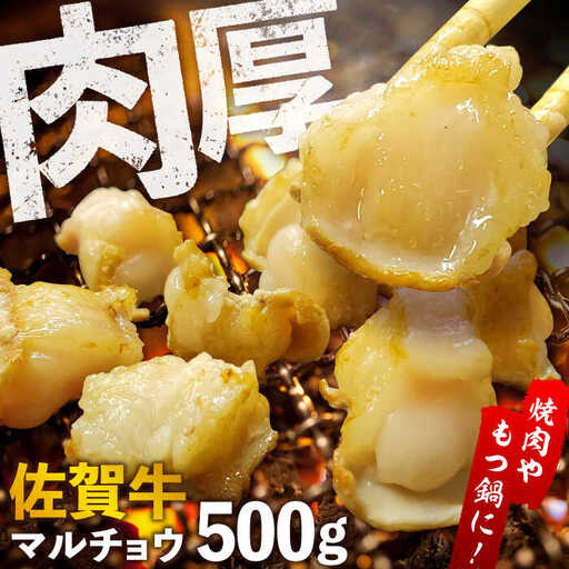 【脂が甘くてぷりっぷり！】佐賀牛ホルモン 焼肉用 小腸 500g（250g×2）味付けなし 吉野ヶ里町/やきとり紋次郎[FCJ089]