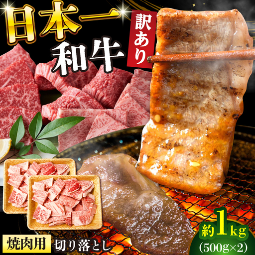 訳あり A4-A5 長崎和牛 焼肉切り落とし 500g×2 (肩ロース・バラ） [DBS004] 訳アリ 牛肉