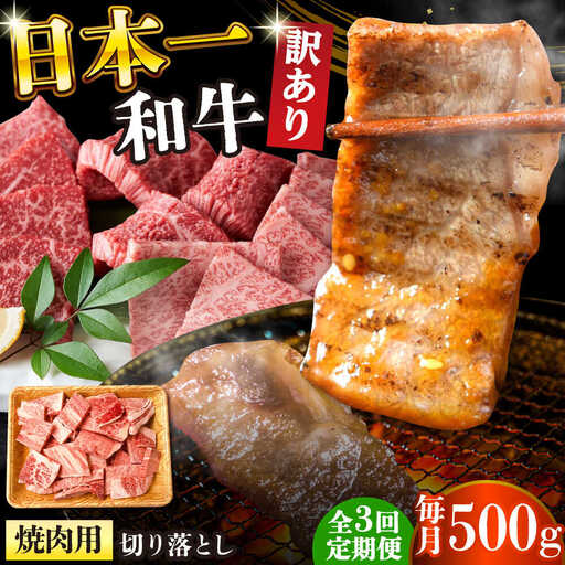 【3回定期便】【訳あり】 A4-A5 長崎和牛 焼肉 切り落とし (肩ロース・バラ） 500g [DBS042] 訳アリ 牛肉
