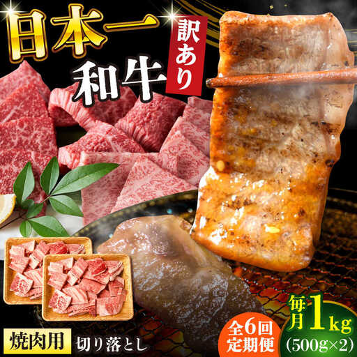 【6回定期便】【訳あり】 A4-A5 長崎和牛 焼肉切り落とし 500g×2(肩ロース/バラ)  [DBS047] 訳アリ 牛肉