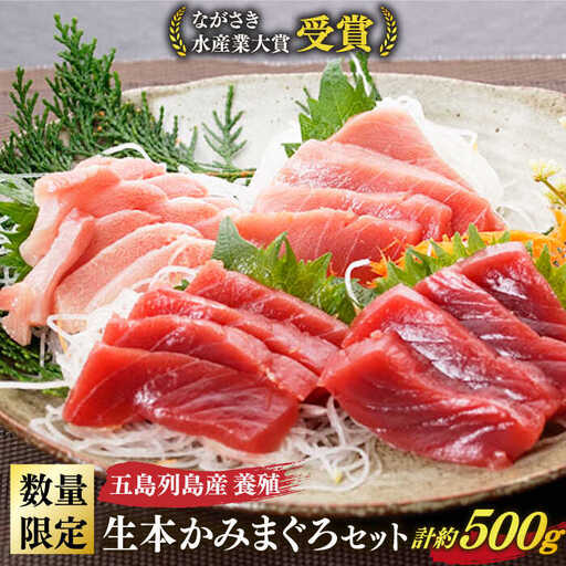 五島列島産養殖生本かみマグロ 赤身 中トロ 大トロ 計約500g [RBP004] 本マグロ 本まぐろ 本マグロ 本まぐろ 本マグロ 本まぐろ 本マグロ 本まぐろ 本マグロ 本まぐろ九州 長崎