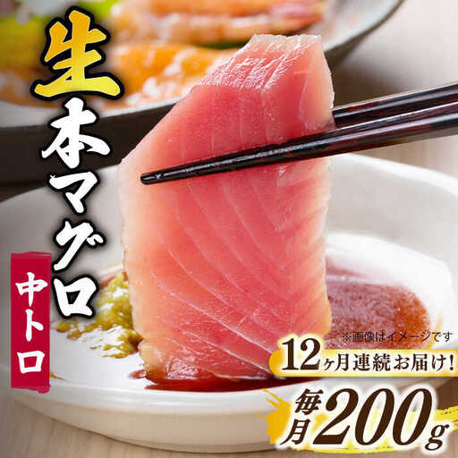 【全12回定期便】五島列島産養殖生本かみマグロ 中トロ 200g [RBP028] 本マグロ 本まぐろ 本鮪 本マグロ 本まぐろ 本鮪 本マグロ 本まぐろ 本鮪 本マグロ 本まぐろ 本鮪九州 長崎