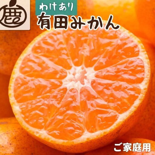【先行予約】家庭用 有田みかん（完熟）10kg+250g（傷み補償分） ※11月より発送(完熟)【わけあり・訳あり】【光センサー選果】※北海道・沖縄・離島配送不可 / みかん ミカン 和歌山 柑橘 フルーツ 有田 有田みかん 【ikd175C】