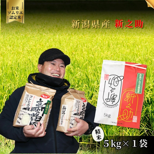 【先行予約】令和8年度産 新之助 精米 5kg | 新潟県産 新之助 米