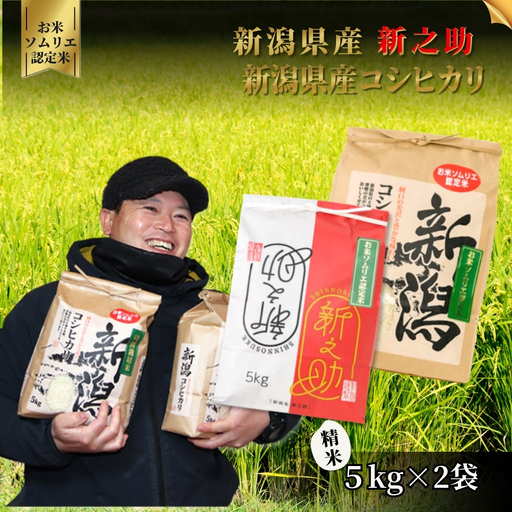 [先行予約]令和8年産 新米 食べ比べセット 10kg(コシヒカリ5kg・新之助5kg)[10月中旬発送開始] | 新潟県産 白米 米 五泉市