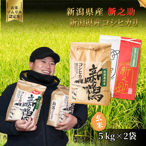 [先行予約]令和8年産 新米 玄米 食べ比べセット 10kg(コシヒカリ5kg・新之助5kg) | 新潟県産 米 玄米 五泉市