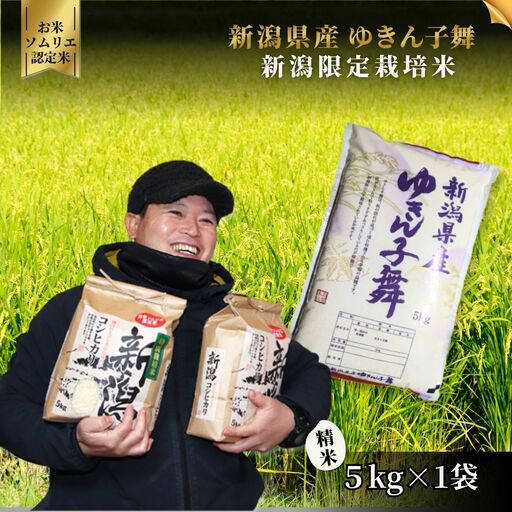 【先行予約】令和8年産 新米 ゆきん子舞 精米 5kg【9月中旬発送開始】 | 新潟県産 米 白米 五泉市
