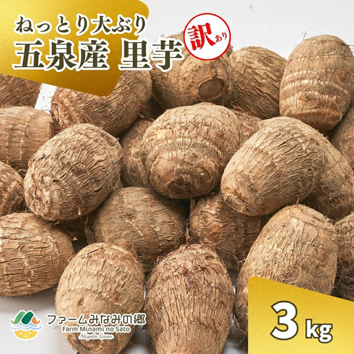【令和8年産先行予約】五泉産【訳アリ】大玉さといも（2L以上）3kg | 新潟県 里芋