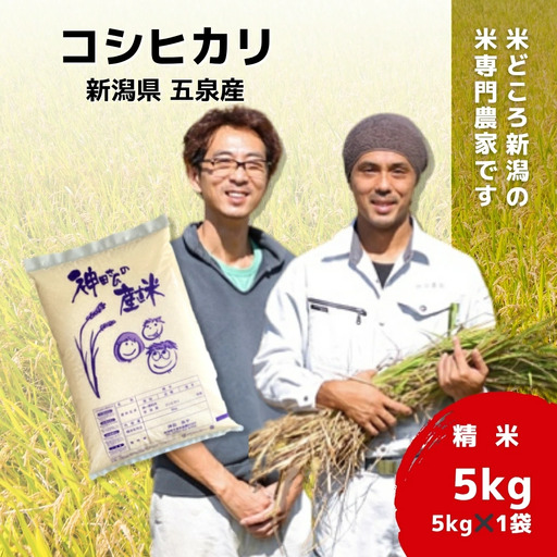 [先行予約]令和8年産 コシヒカリ 5kg わくわく農場 こしひかり | 新潟県 五泉市 コシヒカリ