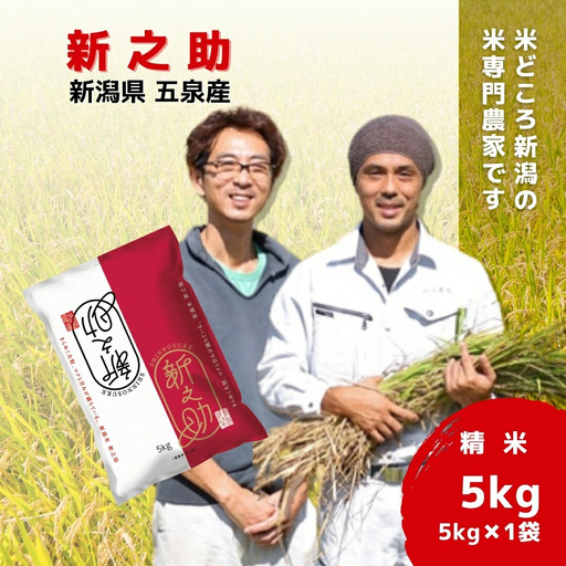 令和7年度産 五泉産新之助 5kg わくわく農場 | 新潟県 新之助