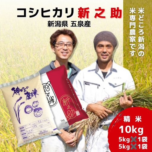 [先行予約]令和8年産 コシヒカリ5kg×1袋 新之助5kg×1袋 わくわく農場 | コシヒカリ 白米 米 新潟県産 五泉市