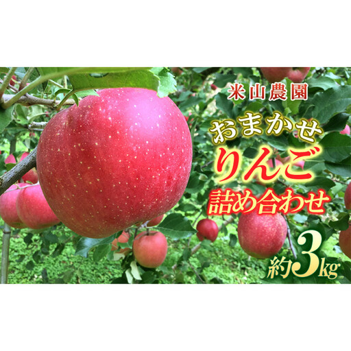 米山農園のおまかせりんご（紅玉または秋映え・シナノスイート・シナノゴールド・王林・サンふじ）約3kg 10月から順次発送 | りんご 旬 食べ比べ 家庭用