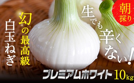 【テレビで紹介されました！】浜松篠原産 新白玉ねぎ プレミアムホワイト 10キロ【無選別品】 野菜 たまねぎ タマネギ 玉ねぎ 新玉ねぎ 10kg 