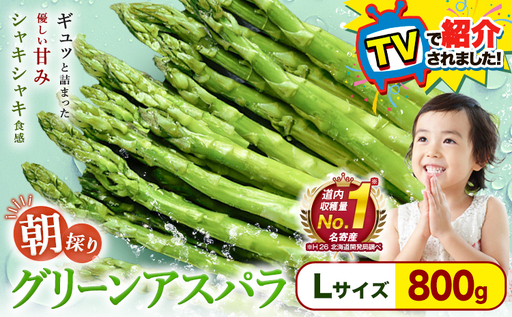 [TVで紹介!]名寄 アスパラガス Lサイズ(800g) アスパラ 先行予約 ≪2027年出荷≫