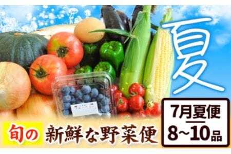 [先行予約] 旬の新鮮な 野菜便 7月夏便 8〜10品 野菜