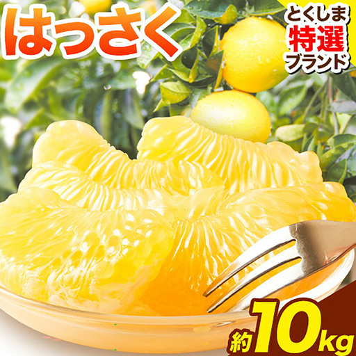 八朔 はっさく 10kg