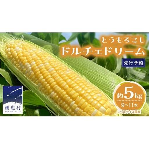 【 7月中旬発送開始 】 嬬恋産 とうもろこし ドルチェドリーム 約5kg（9～11本） [AT002tu]