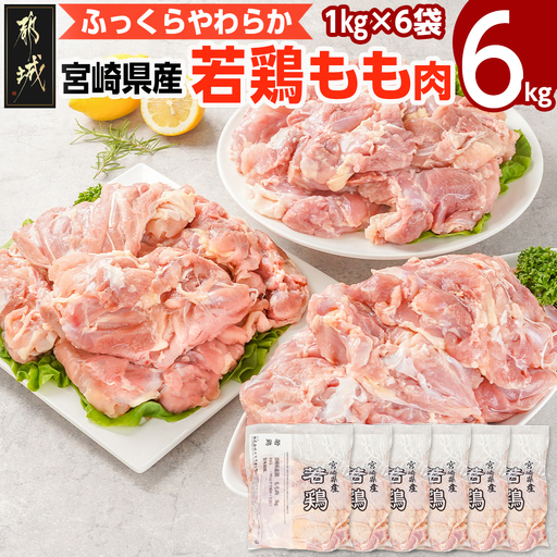 鶏肉 宮崎県産若鶏 もも肉(6kg)〔16-G301〕_(都城市) 鶏肉モモ