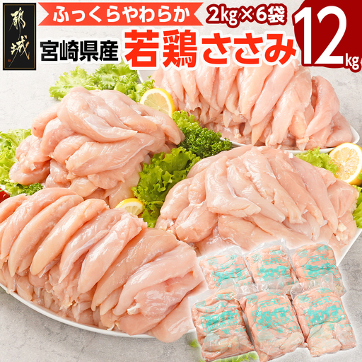 宮崎県産若鶏 ささみ(12kg)〔24-G301〕_(都城市)