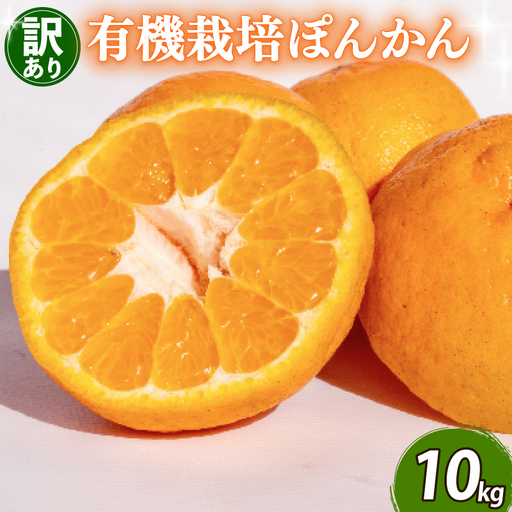 【先行予約】 【早期受付】 訳あり 有機栽培 ぽんかん 10kg 2027年2月より 順次発送 高知県 須崎市