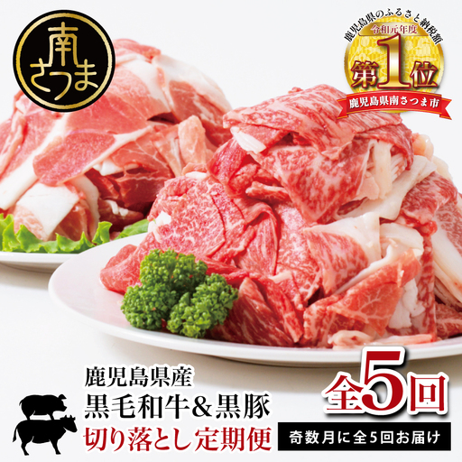 [モリモリ定期便]鹿児島県産黒毛和牛&黒豚 切落し定期便(全5回)牛丼 肉じゃが カレー 炒め物 国産 お肉 定期便 冷凍 小分け 和牛もも肉 スターゼン