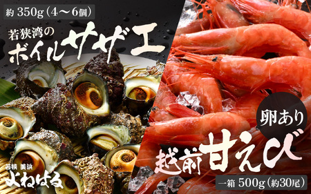 若狭素潜り天然 サザエ (ボイル済) と 越前甘えび卵あり大サイズ【冷凍 ボイル サザエ 甘えび 若狭湾 さざえ 】[m17-a064]