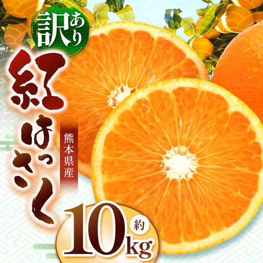 紅八朔 訳あり 約10kg｜iFARM 岩城農園