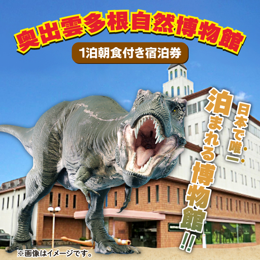 泊まれる博物館｢1泊朝食付き宿泊券｣1名様【宿泊券 宿泊 旅行券 温泉 観光 旅行 旅 1食付き 朝食付き 1名様 恐竜 博物館 天然温泉 入浴券 温泉 トラベル 体験 チケット 島根県 奥出雲町】