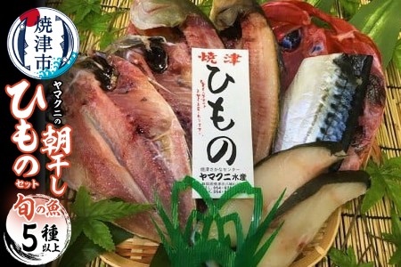 【チルドでお届け】朝干しひものセット5種以上！ (a10-431)