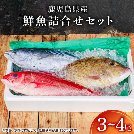2530 鹿児島県産 鮮魚 詰合せ セット ( 3〜4 尾 ) KN025-004-01 魚