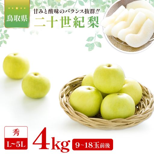 二十世紀梨 秀4kg[梨 秀品 4kg 20世紀 二十世紀 先行予約 期間限定 数量限定 フルーツ 果物 なし ナシ 贈答 贈り物 ギフト お取り寄せ 産地直送 鳥取県]