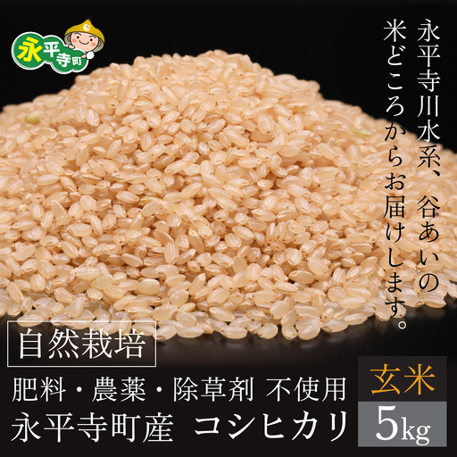 令和7年産 自然栽培米 コシヒカリ 玄米 5kg 無農薬 化学肥料 除草剤 不使用 福井県