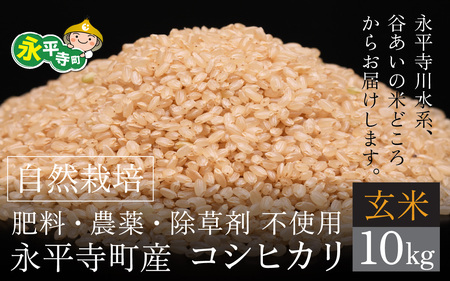 【先行予約】令和７年産 新米 自然栽培米 永平寺町産 コシヒカリ 玄米 10kg 11月上旬順次配送予定 無農薬 化学肥料 除草剤 不使用 福井県 永平寺 