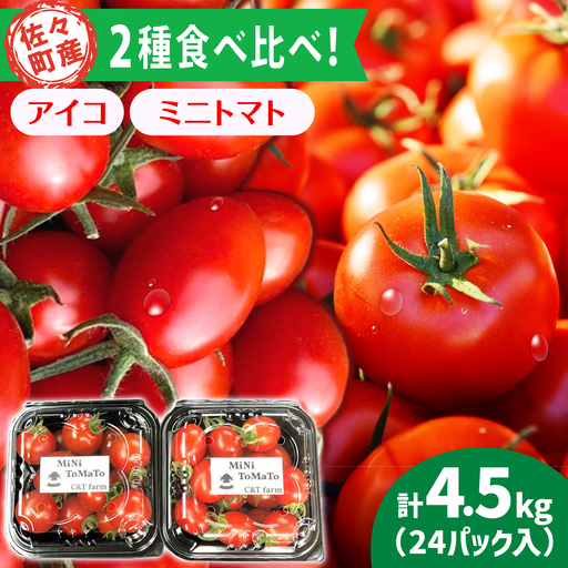 先行予約 ミニトマト 2種セット 総計4.5kg [QBG004]
