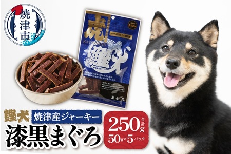 無添加 犬 用 おやつ「鰹犬」焼津産鮪ジャーキー5袋 (a12-018)
