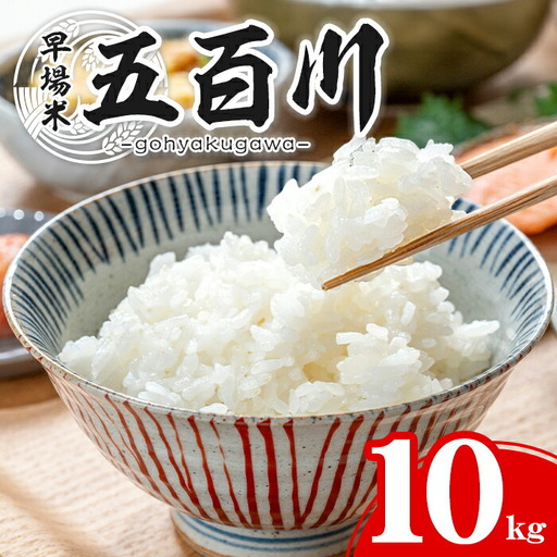 [先行予約受付中!R8年9月上旬から順次発送予定]五百川 10kg お米 おこめ 米 コメ 白米 早場米 極早生品種 ご飯 ごはん おにぎり お弁当[赤間農業開発株式会社]ta459