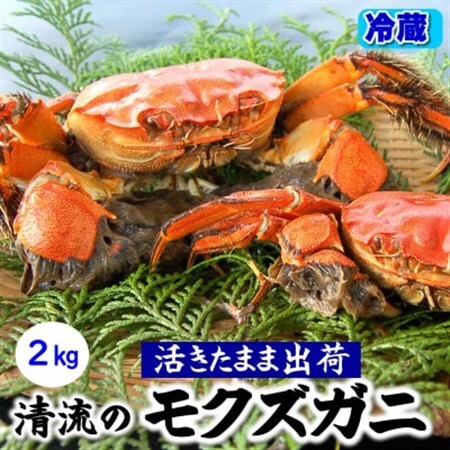 天然　活モクズガニ　約2kg　兵庫県新温泉町　【配送不可地域：離島・北海道・沖縄県・東北・九州】【1534325】