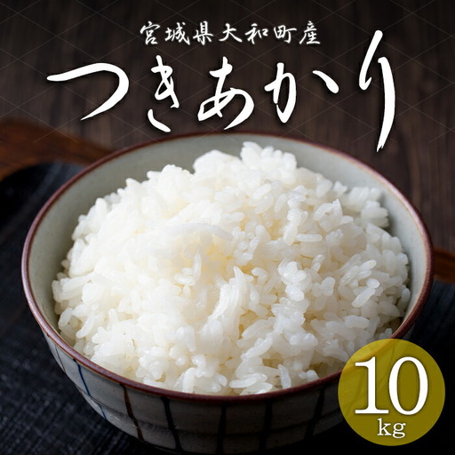 [令和8年産 新米][先行予約受付中!R8年9月下旬から順次発送予定]つきあかり 10kg お米 おこめ 米 コメ 白米 ご飯 ごはん おにぎり お弁当[赤間農業開発株式会社]ta460