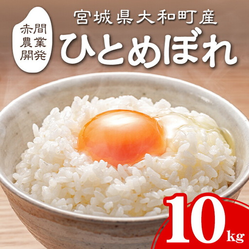 [令和8年産 新米][先行予約受付中!R8年9月下旬から順次発送予定] ひとめぼれ 10kg お米 おこめ 米 コメ 白米 ご飯 ごはん おにぎり お弁当[赤間農業開発株式会社]ta461