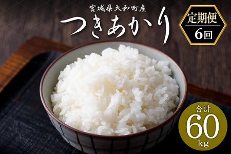 ＜6か月定期便＞ つきあかり 合計60kg (10kg×6回) お米 おこめ 米 コメ 白米 ご飯 ごはん おにぎり お弁当 頒布会【赤間農業開発株式会社】ta465