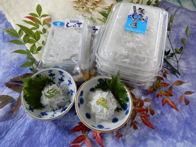 焼津産 お刺身生しらす・釜揚げしらす詰合せ (a15-332)