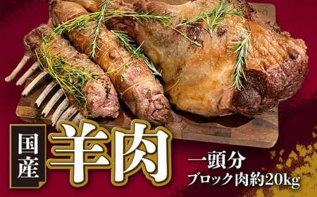 �ԗ�i�摜