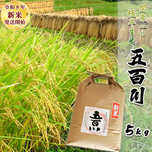 [新米発送開始][お米ソムリエ厳選]関東一の極早生米『五百川(一等)』5kg [令和8年産][2週間以内に発送][配送指定OK]新米 鴨川市 早生 千葉県産 ブランド コメ 白米 精米 食味鑑定士 精米したて 色彩選別 [米屋新蔵][0012-0095]