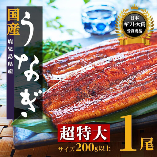 [お試し]鹿児島県産 長蒲焼 特大 1尾(200g以上×1尾)|うなぎ うなぎ