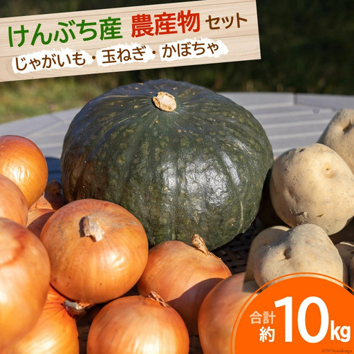 野菜 けんぶち産農産物セット 3種 計10kg