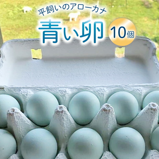 卵 平飼いのアローカナ卵 10個