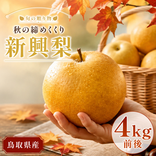 新興梨　4kg【梨 赤梨 新興梨 しんこうなし 4kg 先行予約 期間限定 数量限定 なし ナシ 果物 くだもの フルーツ 旬 高糖度 甘い 上品 贈り物 ギフト お取り寄せ 産地直送 鳥取県】