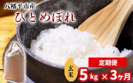 新米 先行予約 【令和8年産】 ひとめぼれ 玄米 5kg ×3ヶ月定期便 《2026年11月より順次発送開始予定》 ／ げんまい 岩手県産 中沢農産