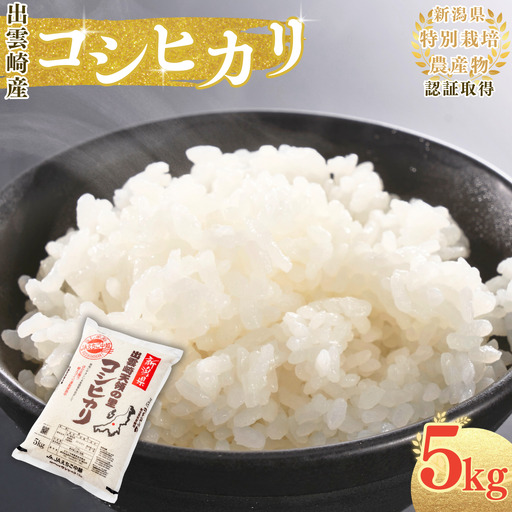 新潟産コシヒカリ 5kg | コシヒカリ 令和7年産